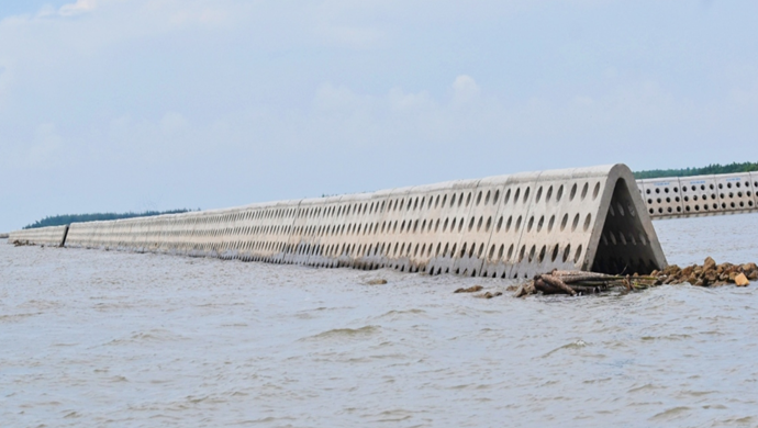 Kè Tân Thành, Gò Công Đông, Tiền Giang