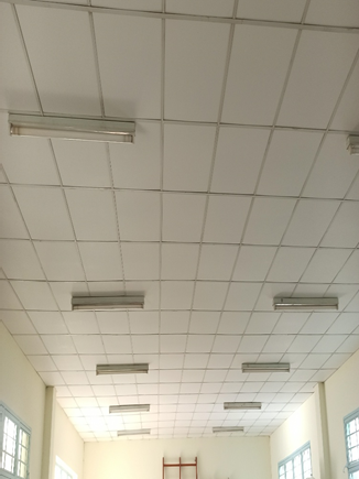 Sửa chữa trường Mầm Non 19/5, Quận 08