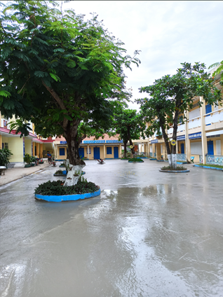 Sửa chữa trường Tiểu Học Mỹ Lộc, Cần Giuộc, Long An